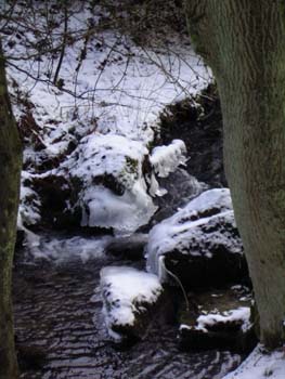 Silberbach