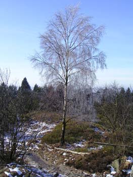 Velmerstot-2