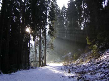 Wandern-Teuto