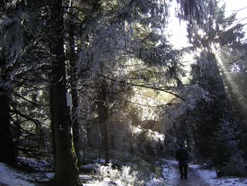 Wandern-Teutoburger