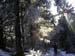Wandern-Teutoburger